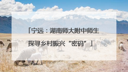 宁远：湖南师大附中师生探寻乡村振兴“密码”