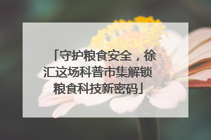 守护粮食安全，徐汇这场科普市集解锁粮食科技新密码