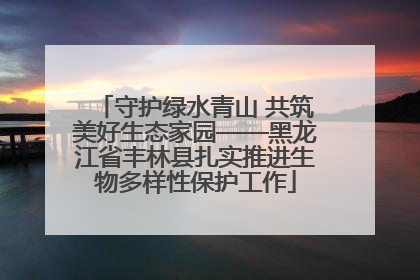 守护绿水青山 共筑美好生态家园——黑龙江省丰林县扎实推进生物多样性保护工作