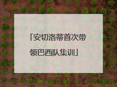 安切洛蒂首次带领巴西队集训
