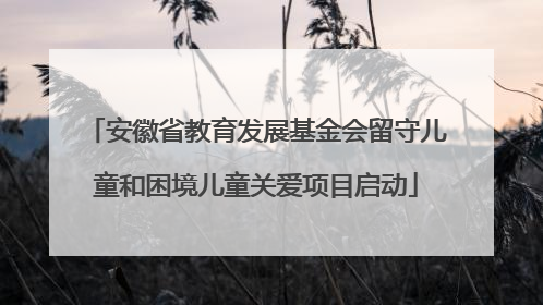安徽省教育发展基金会留守儿童和困境儿童关爱项目启动