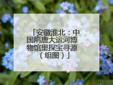安徽淮北：中国隋唐大运河博物馆里探宝寻源（组图）