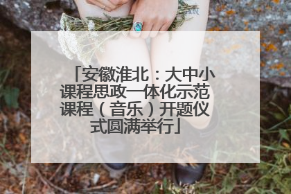 安徽淮北：大中小课程思政一体化示范课程（音乐）开题仪式圆满举行