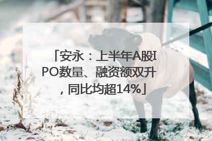 安永：上半年A股IPO数量、融资额双升，同比均超14%