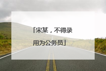 宋某，不得录用为公务员