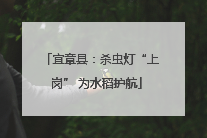 宜章县：杀虫灯“上岗” 为水稻护航
