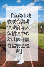 宜宾市残联联合留耕镇政府深入留耕镇中心幼儿园开展食堂安全检查
