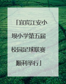宜宾江安小坝小学第五届校园足球联赛顺利举行