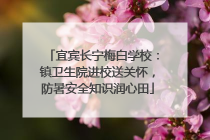 宜宾长宁梅白学校：镇卫生院进校送关怀，防暑安全知识润心田