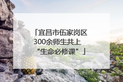 宜昌市伍家岗区300余师生共上“生命必修课”