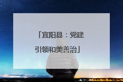 宜阳县：党建引领和美善治