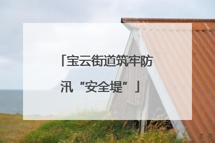 宝云街道筑牢防汛“安全堤”