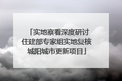实地察看深度研讨 住建部专家组实地复核城阳城市更新项目