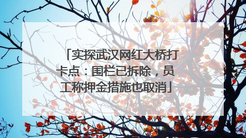 实探武汉网红大桥打卡点：围栏已拆除，员工称押金措施也取消