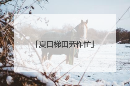 夏日梯田劳作忙