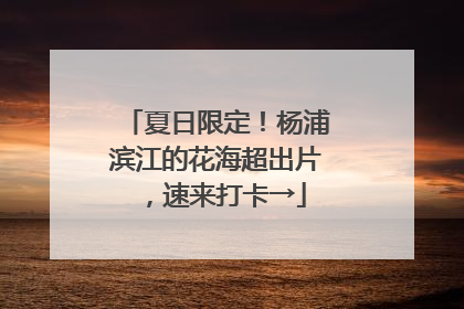 夏日限定！杨浦滨江的花海超出片，速来打卡→