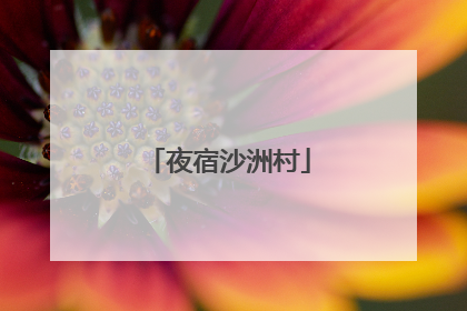 夜宿沙洲村