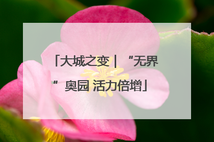 大城之变｜“无界”奥园 活力倍增