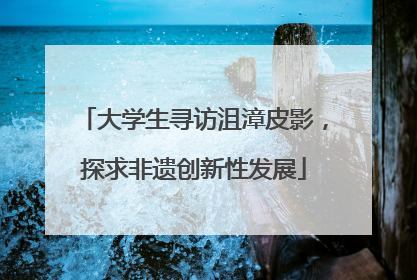 大学生寻访沮漳皮影，探求非遗创新性发展