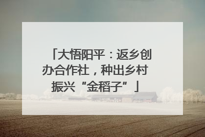 大悟阳平：返乡创办合作社，种出乡村振兴“金稻子”