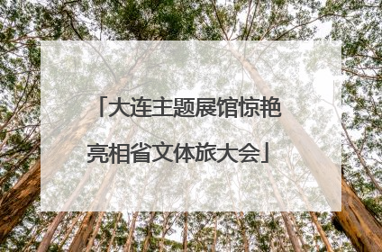 大连主题展馆惊艳亮相省文体旅大会
