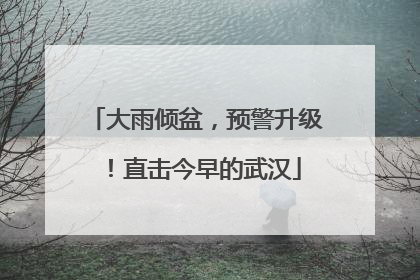 大雨倾盆，预警升级！直击今早的武汉