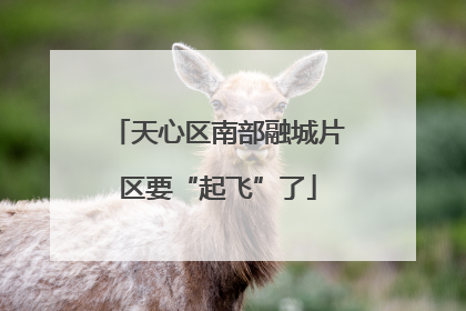 天心区南部融城片区要“起飞”了