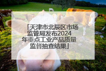 天津市北辰区市场监管局发布2024年重点工业产品质量监督抽查结果