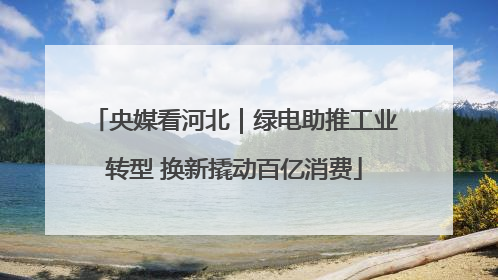 央媒看河北｜绿电助推工业转型 换新撬动百亿消费