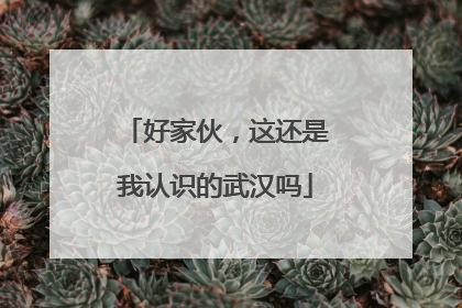好家伙，这还是我认识的武汉吗