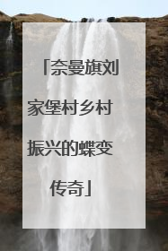 奈曼旗刘家堡村乡村振兴的蝶变传奇
