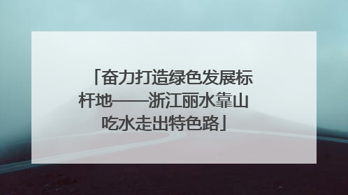 奋力打造绿色发展标杆地——浙江丽水靠山吃水走出特色路