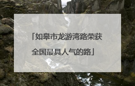 如皋市龙游湾路荣获全国最具人气的路
