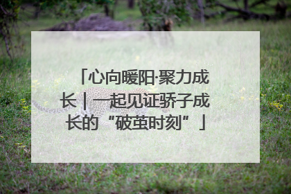 心向暖阳·聚力成长｜一起见证骄子成长的“破茧时刻”