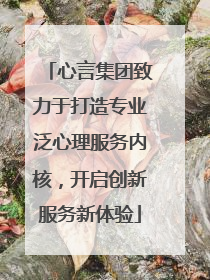 心言集团致力于打造专业泛心理服务内核，开启创新服务新体验