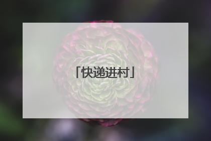 快递进村