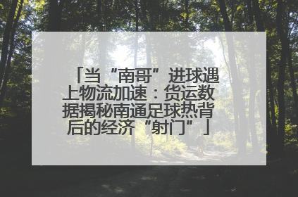 当“南哥”进球遇上物流加速：货运数据揭秘南通足球热背后的经济“射门”