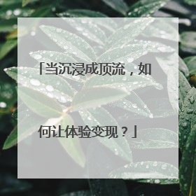 当沉浸成顶流，如何让体验变现？