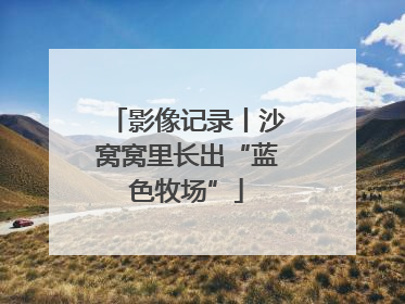 影像记录丨沙窝窝里长出“蓝色牧场”