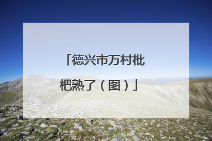 德兴市万村枇杷熟了（图）