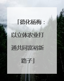 德化杨梅：以立体农业打通共同富裕新路子