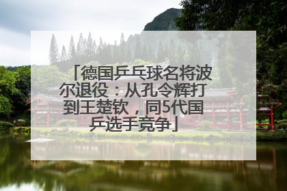 德国乒乓球名将波尔退役：从孔令辉打到王楚钦，同5代国乒选手竞争