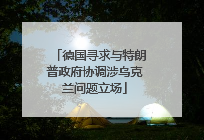 德国寻求与特朗普政府协调涉乌克兰问题立场