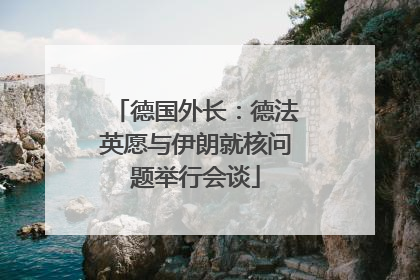 德国外长：德法英愿与伊朗就核问题举行会谈