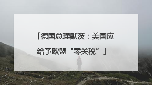 德国总理默茨：美国应给予欧盟“零关税”