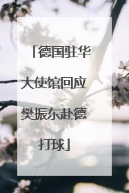 德国驻华大使馆回应樊振东赴德打球