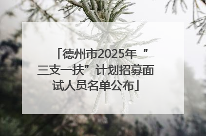 德州市2025年“三支一扶”计划招募面试人员名单公布