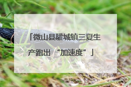 微山县驩城镇三夏生产跑出 “加速度”