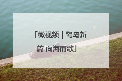 微视频｜鹭岛新篇 向海而歌