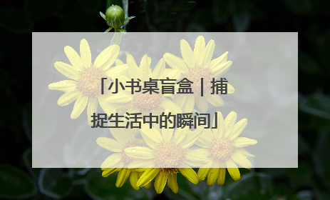 小书桌盲盒｜捕捉生活中的瞬间